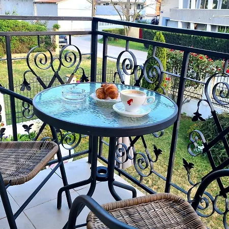 Pensiunea Miraj Guest house